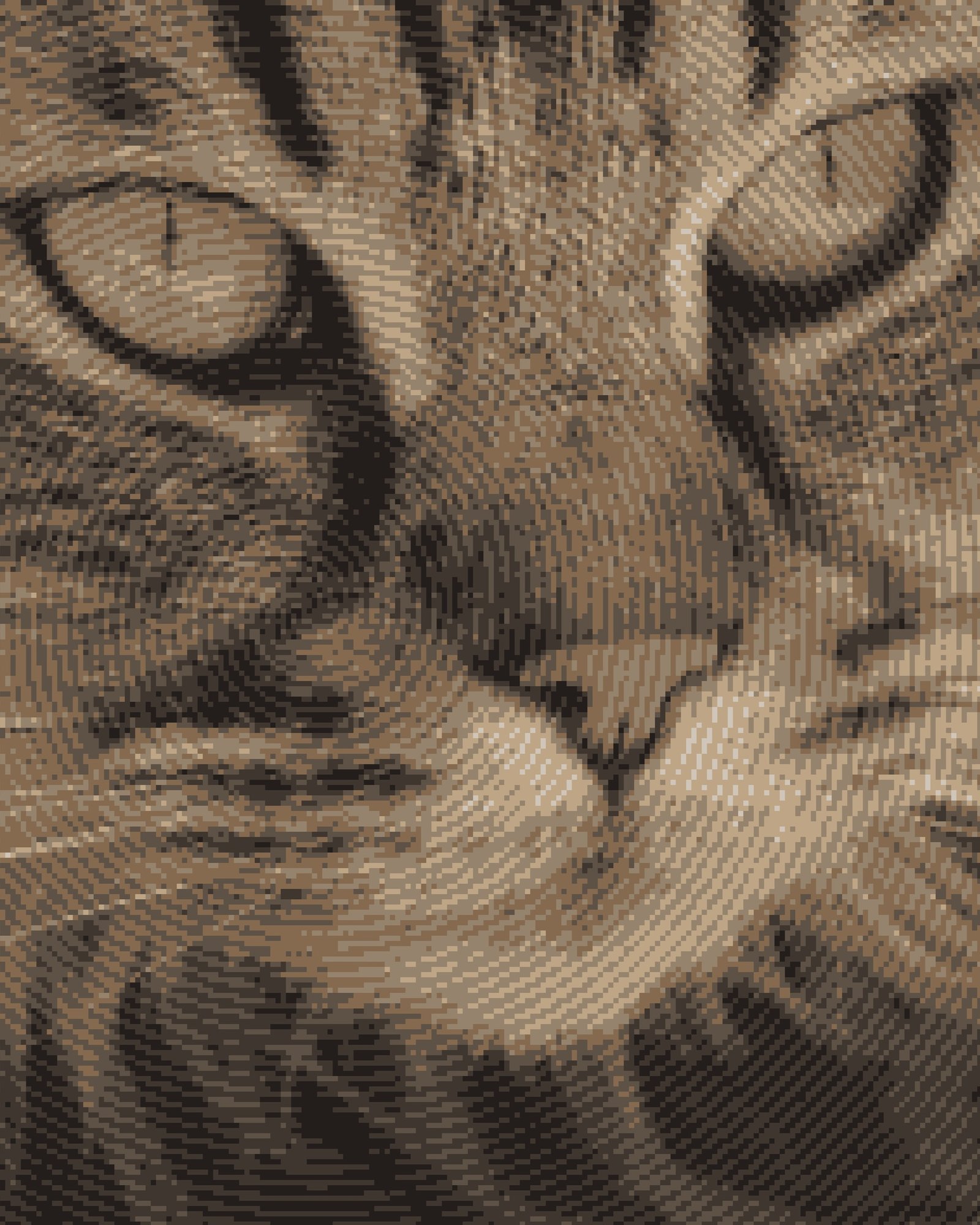 Tabby, Engraved
