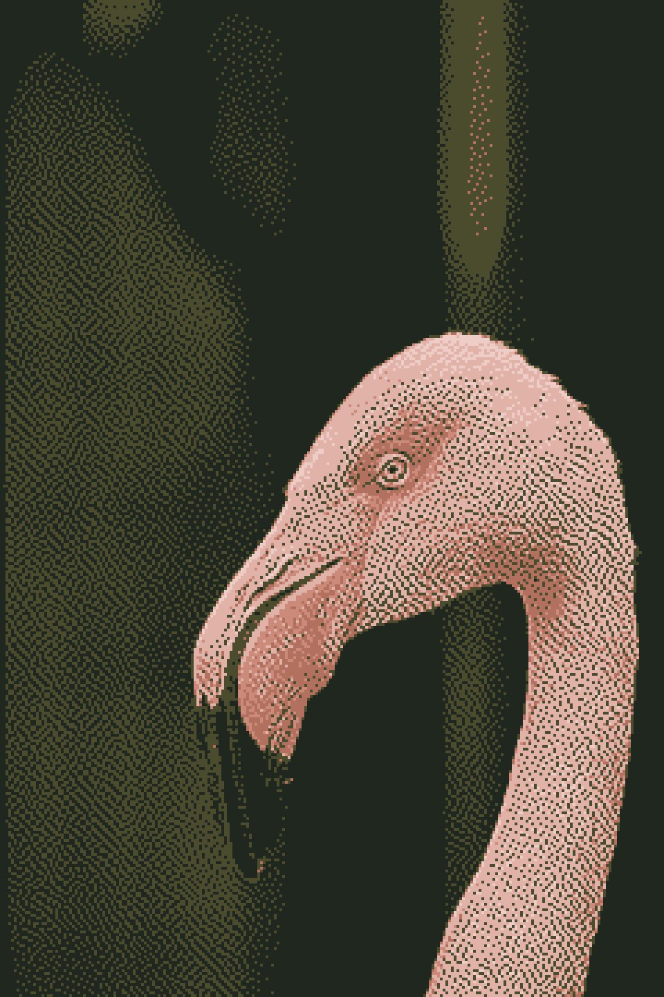Flamingo, Reduced